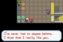 Pokémon Outlaw - Screenshot 2