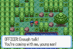 Pokémon Ruby Destiny: Reign of Legends - Screenshot 1