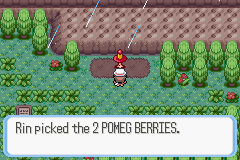 Pokémon Ruby Destiny: Reign of Legends - Screenshot 7