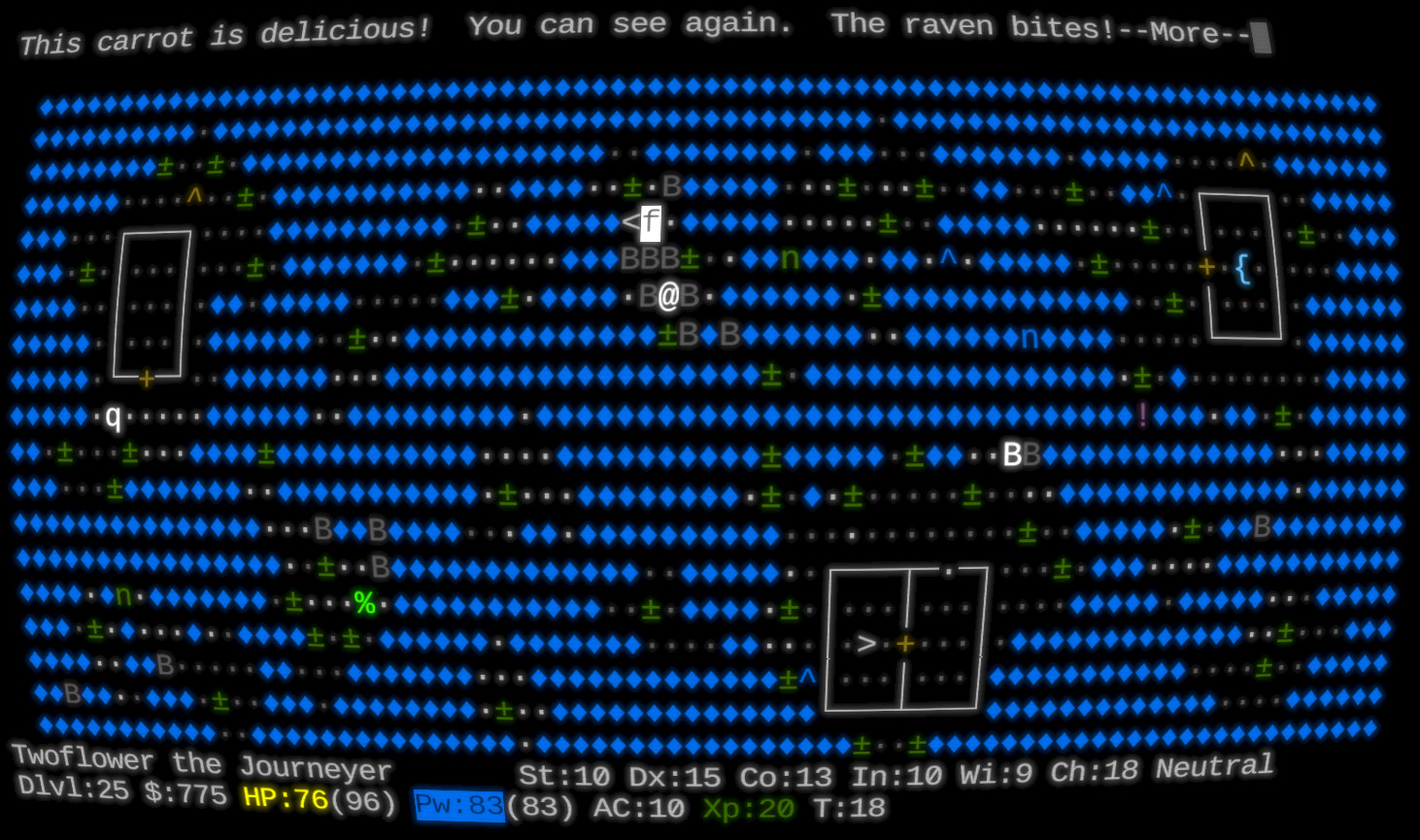 NetHack: Legacy - Screenshot 5