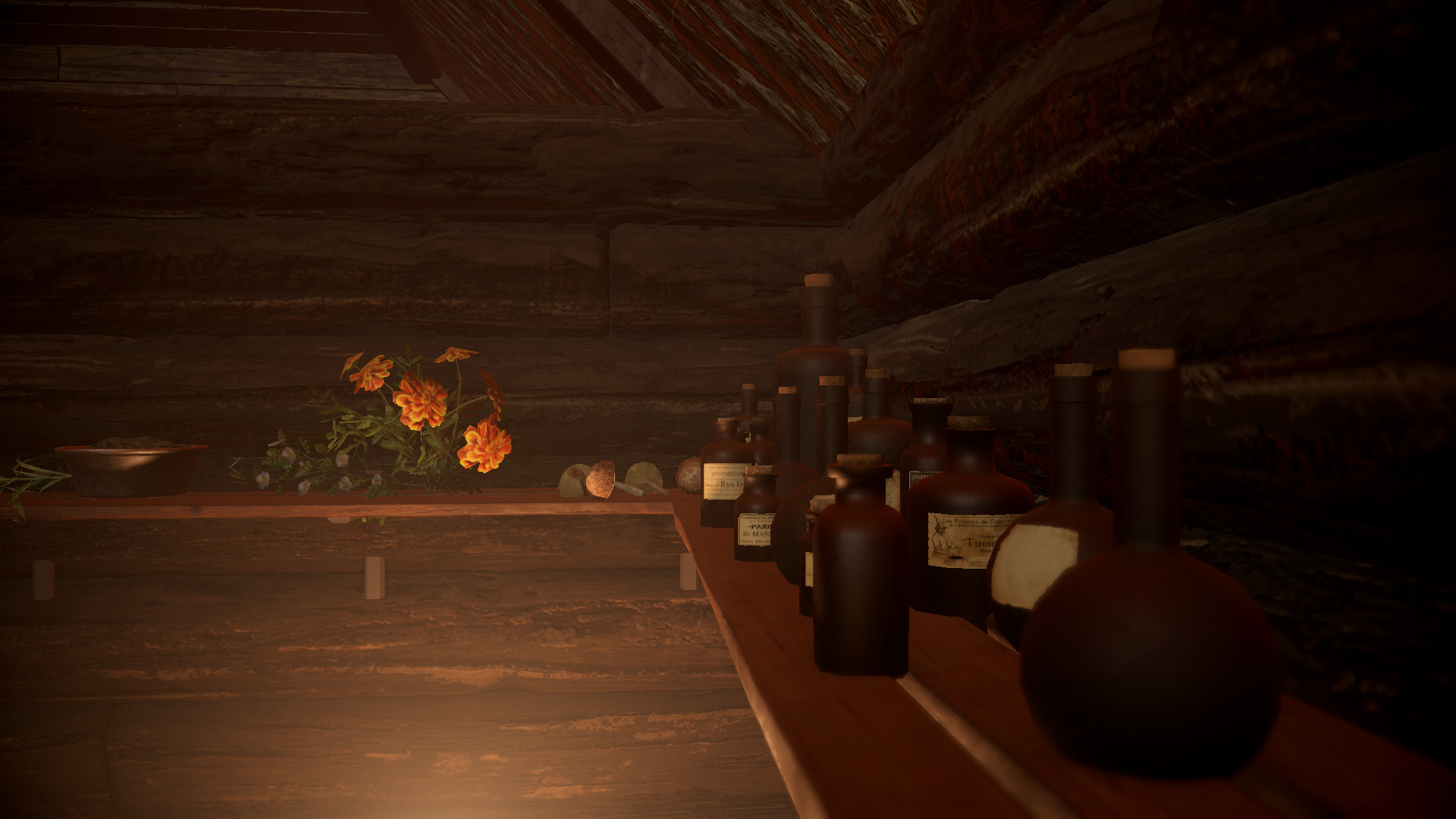 Volkhv: Memoir of the Witch Doctor - Screenshot 3