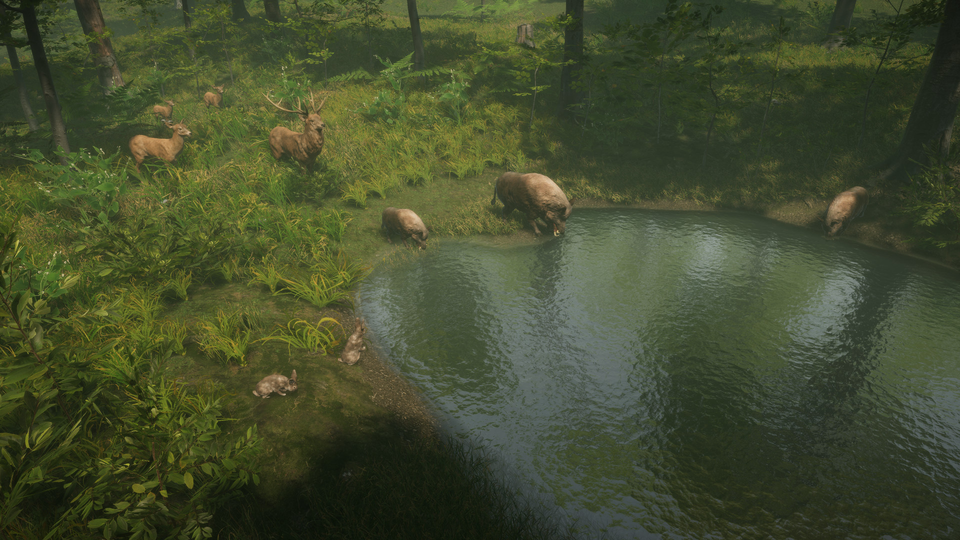 Game Background