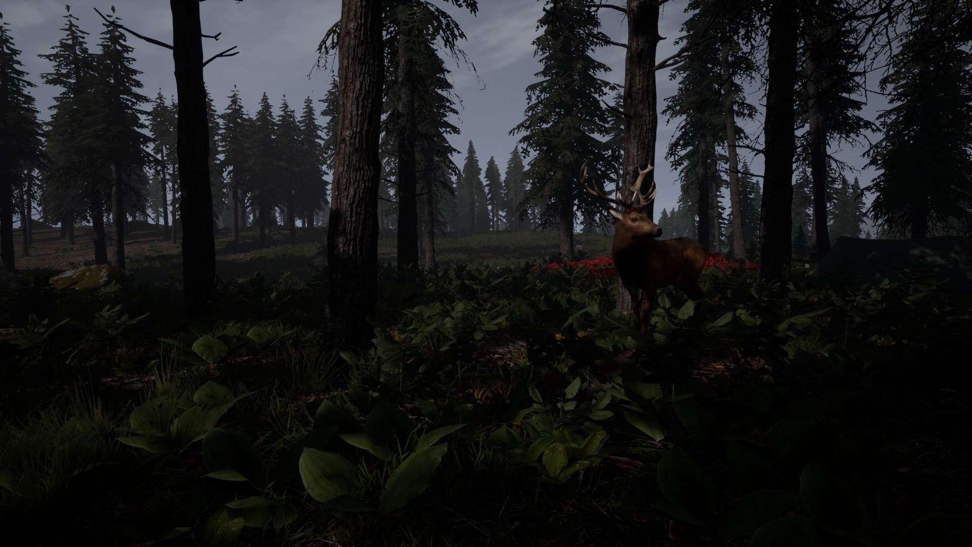 Reborn: Survival - Screenshot 1