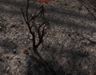 Natural Balance: Chronicles - Screenshot 4