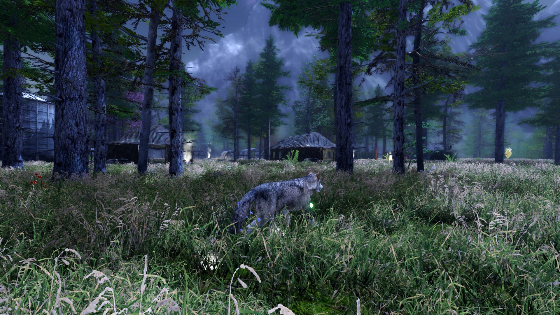 Tale of a Wolf - Screenshot 1