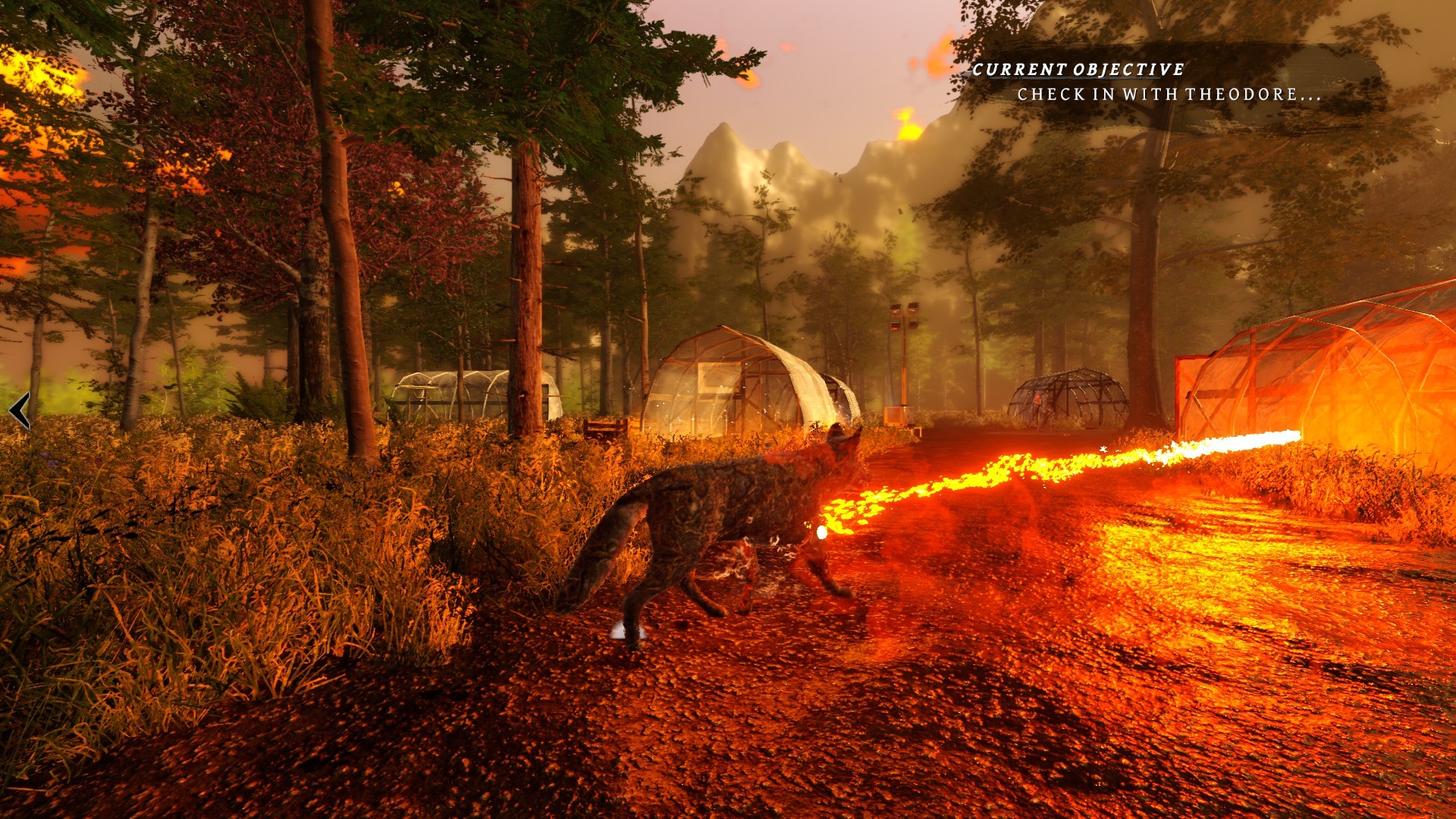 Tale of a Wolf - Screenshot 2