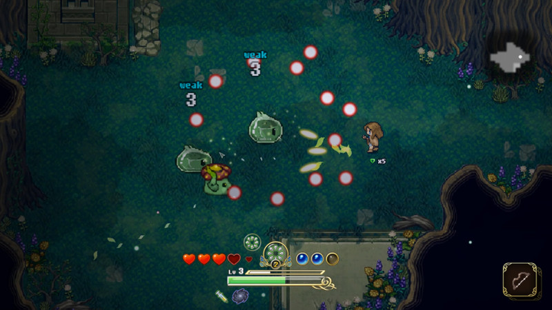 Diary of Lucie - Screenshot 1