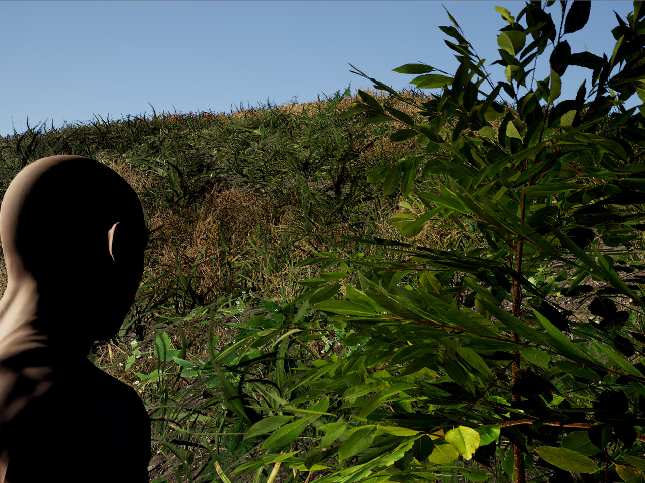 Survival Ascension - Screenshot 1