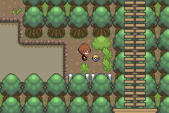 Pokémon Unbound - Screenshot 1