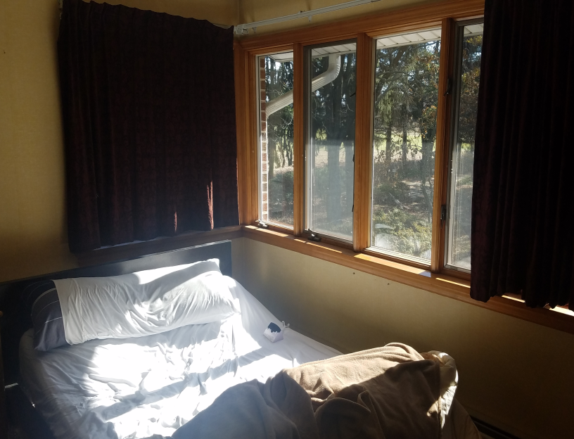 Dandelions - Screenshot 1