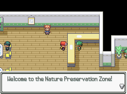 Pokémon: Blossom of the Soul - Screenshot 2