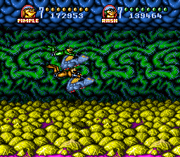 illustration de Battletoads In Battlemaniacs