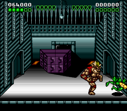 illustration de Battletoads & Double Dragon