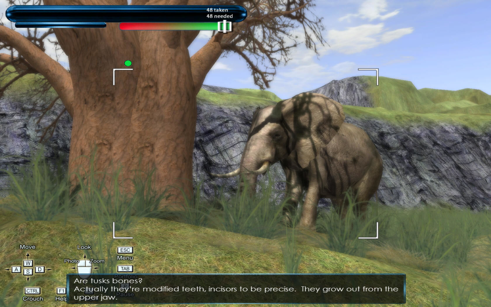 Game Background