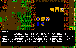 Spellshard: The Black Crown of Horgoth - Screenshot 7