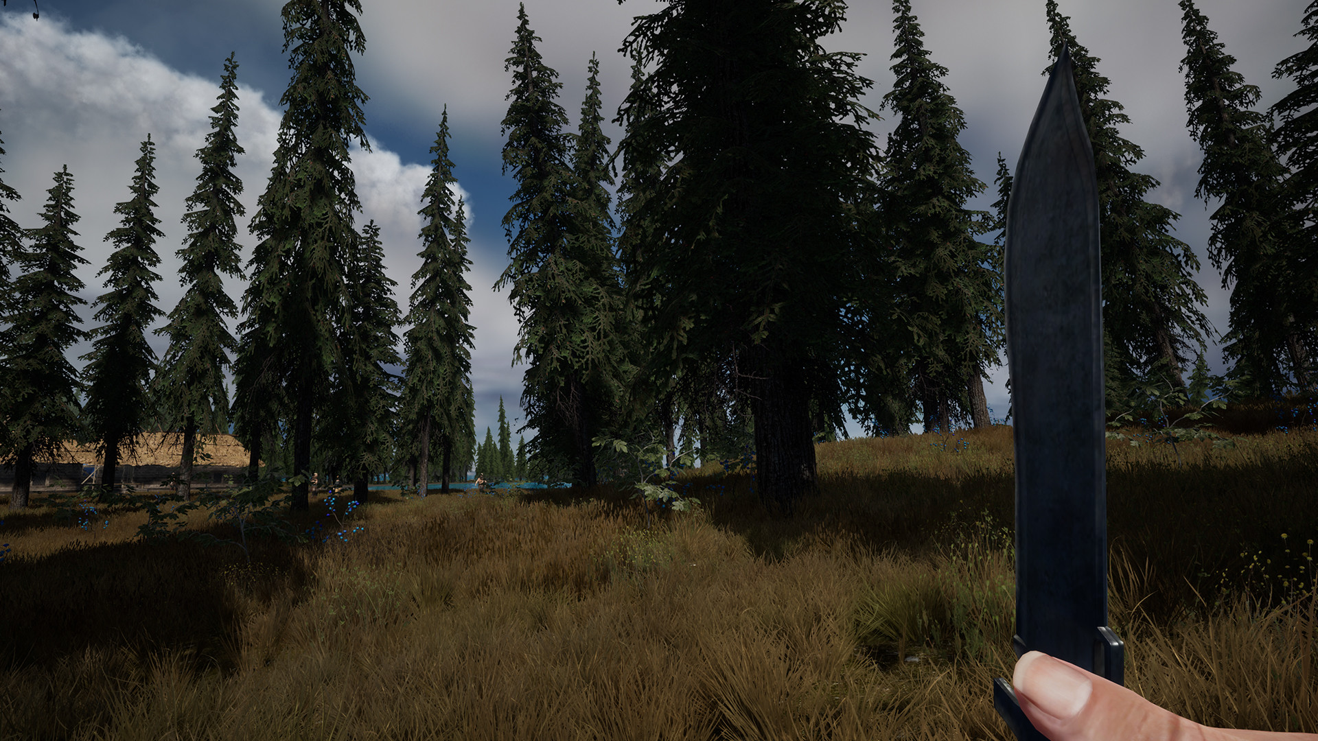 Two Coins - Screenshot 2