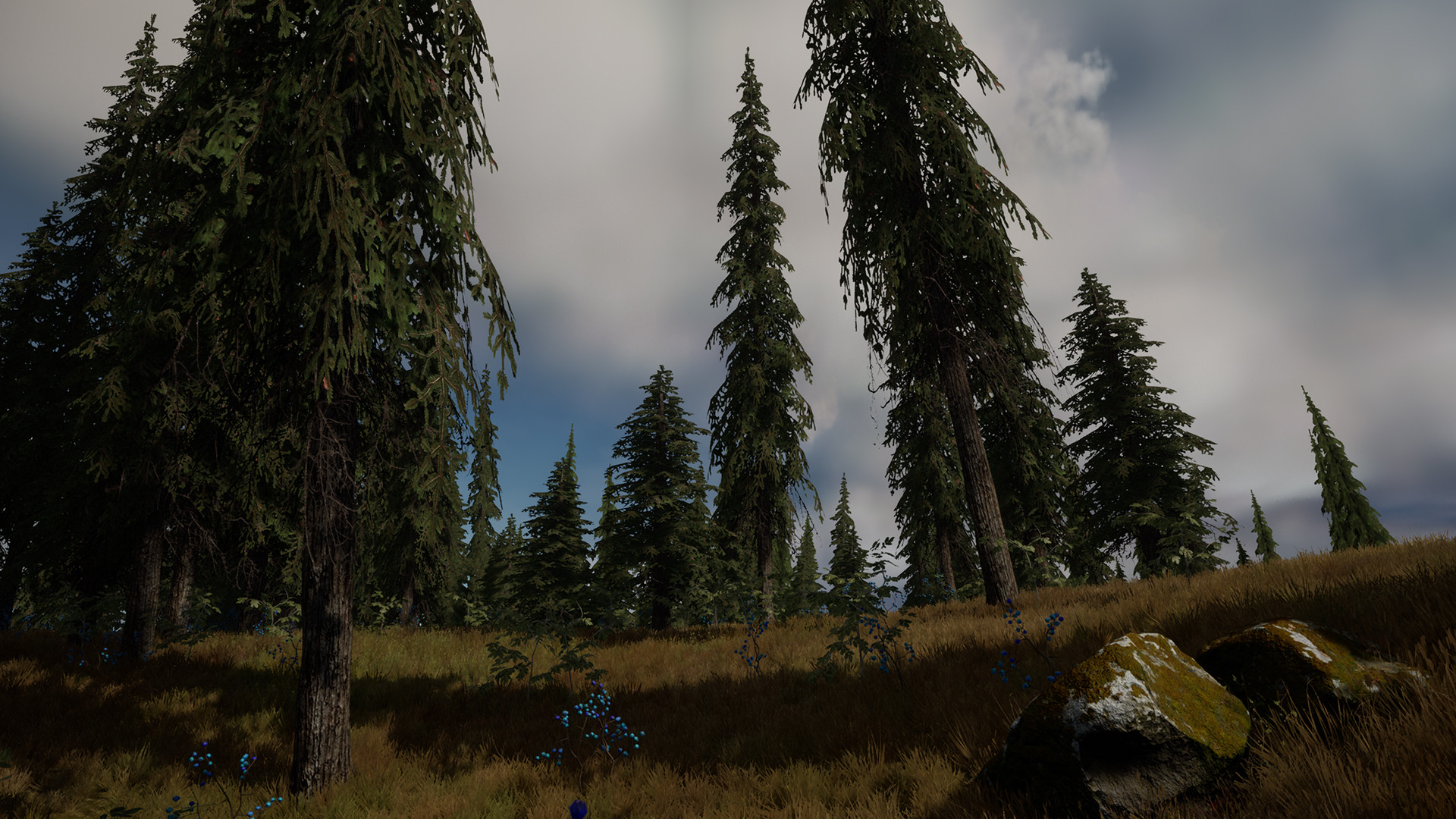 Two Coins - Screenshot 6