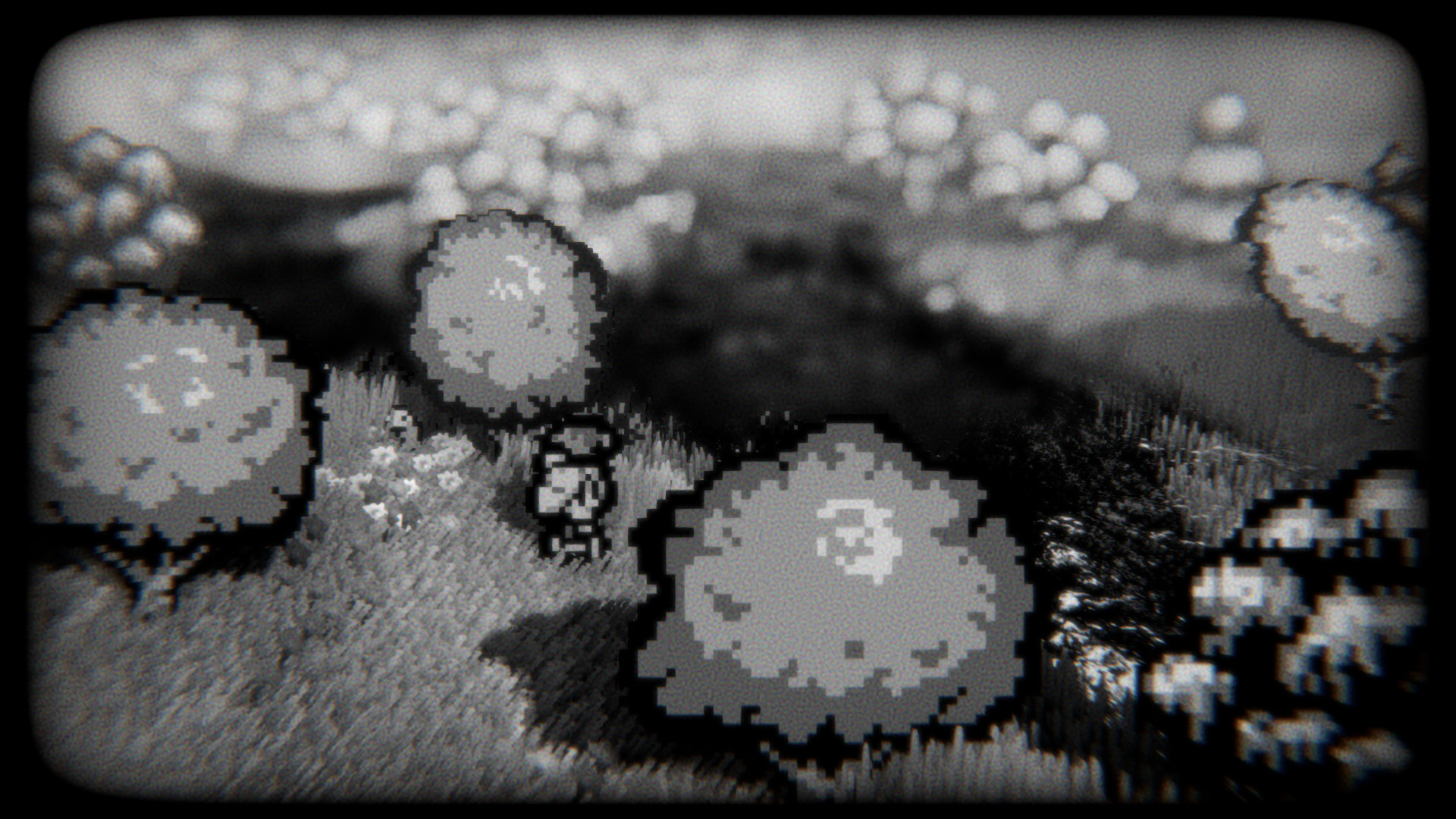 A Walk With Yiayia - Screenshot 5