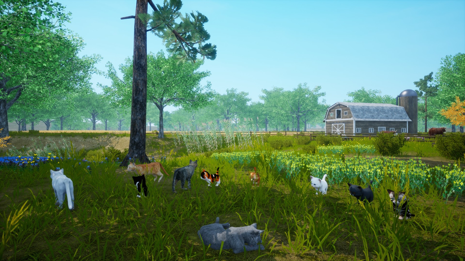 Cat Simulator: Meow - Screenshot 1