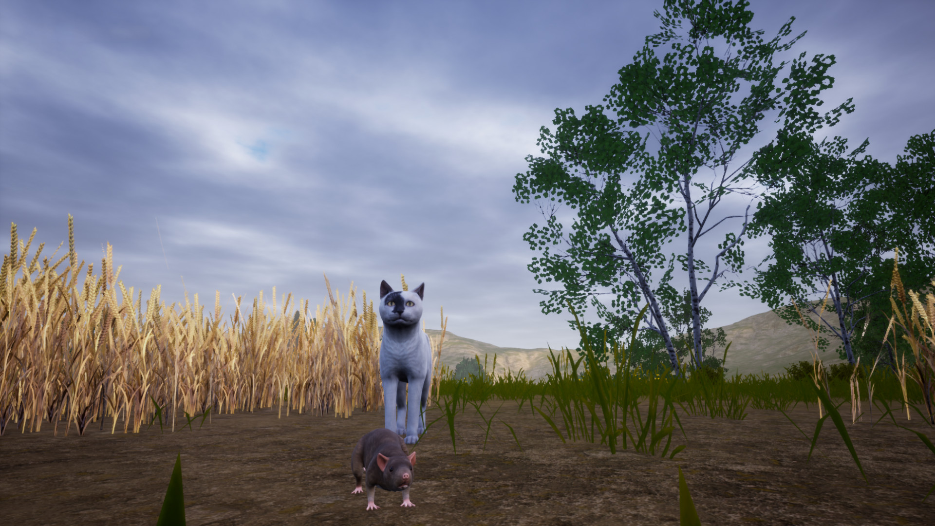 Cat Simulator: Meow - Screenshot 17