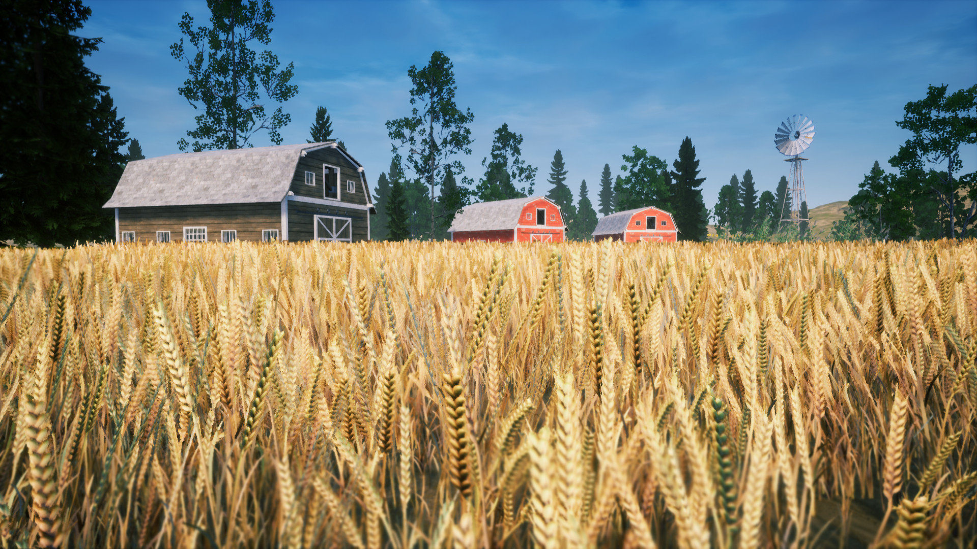 Cat Simulator: Meow - Screenshot 2