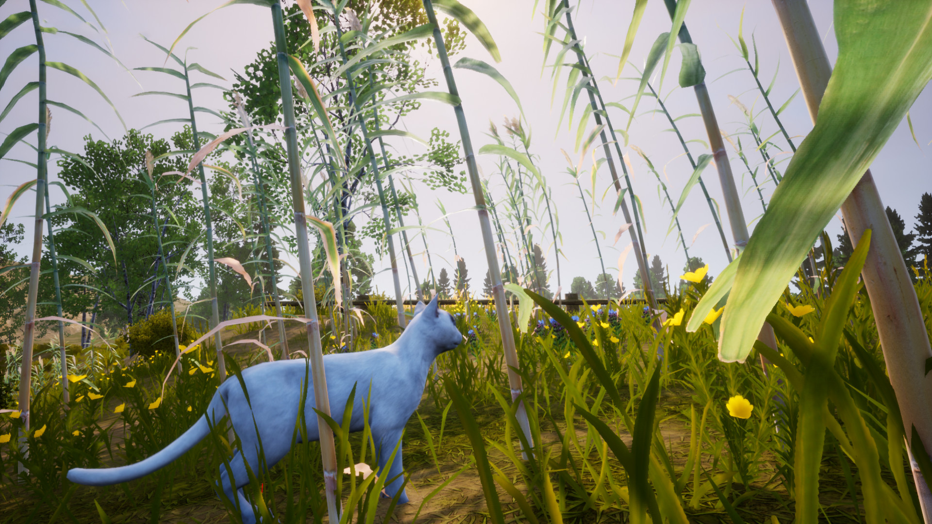 Cat Simulator: Meow - Screenshot 6