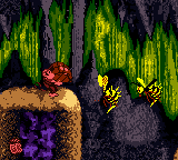 Donkey Kong Country gameplay screenshot 1