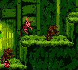 Donkey Kong Country gameplay screenshot 3