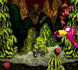 Donkey Kong Country gameplay screenshot 5