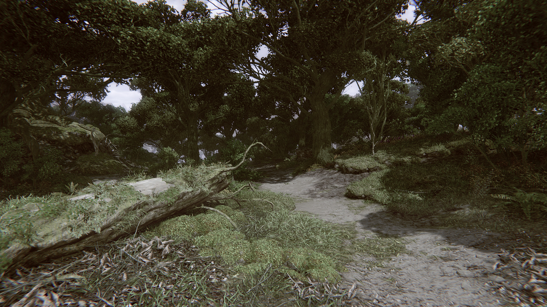 Remote Knights Online - Screenshot 35