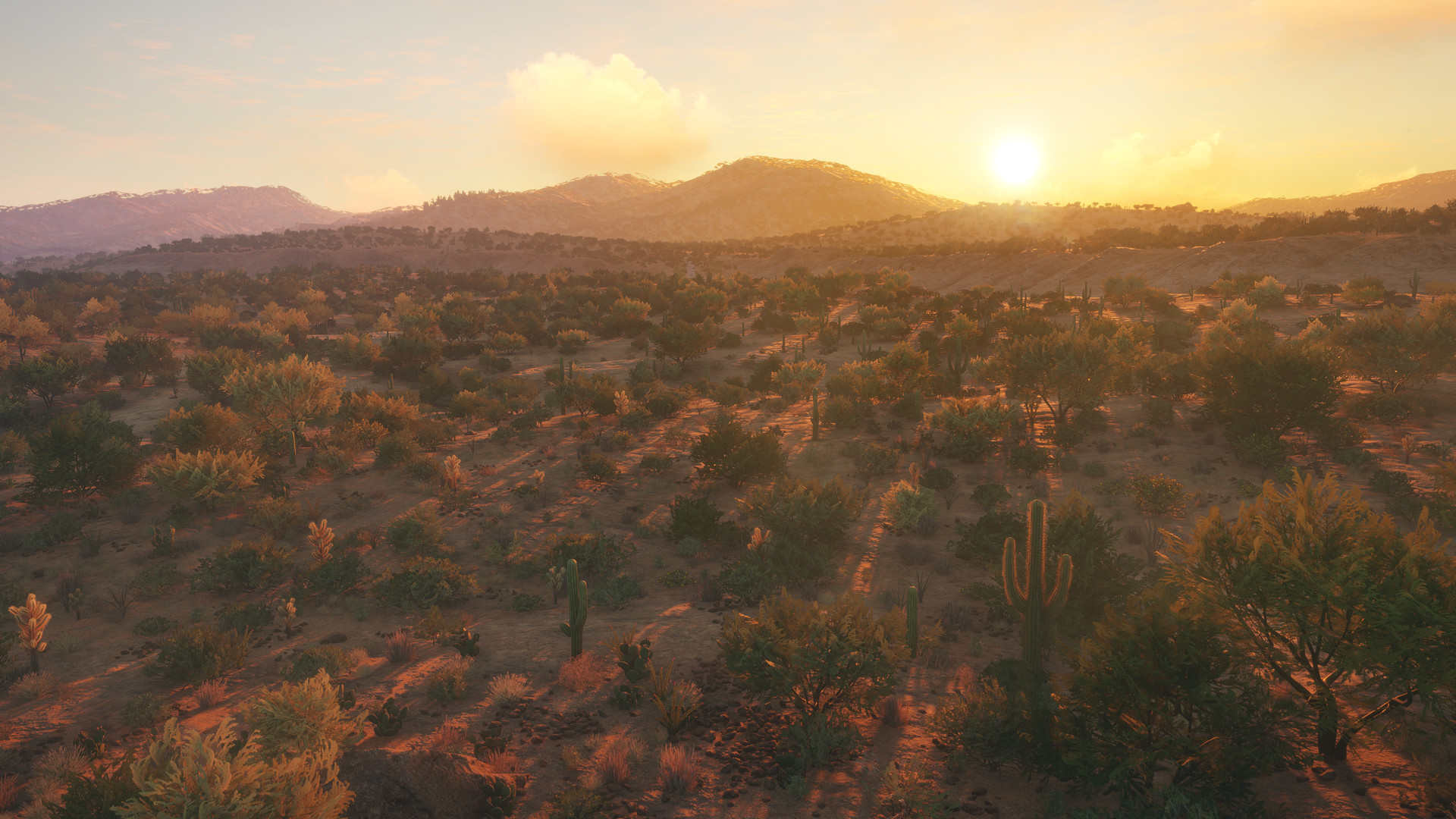 Game Background