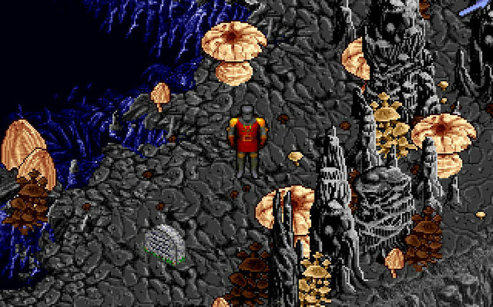 Ultima VIII: Gold Edition - Screenshot 3