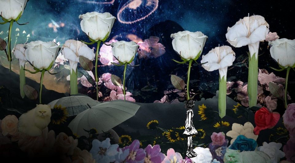 Purgo Box - Screenshot 1