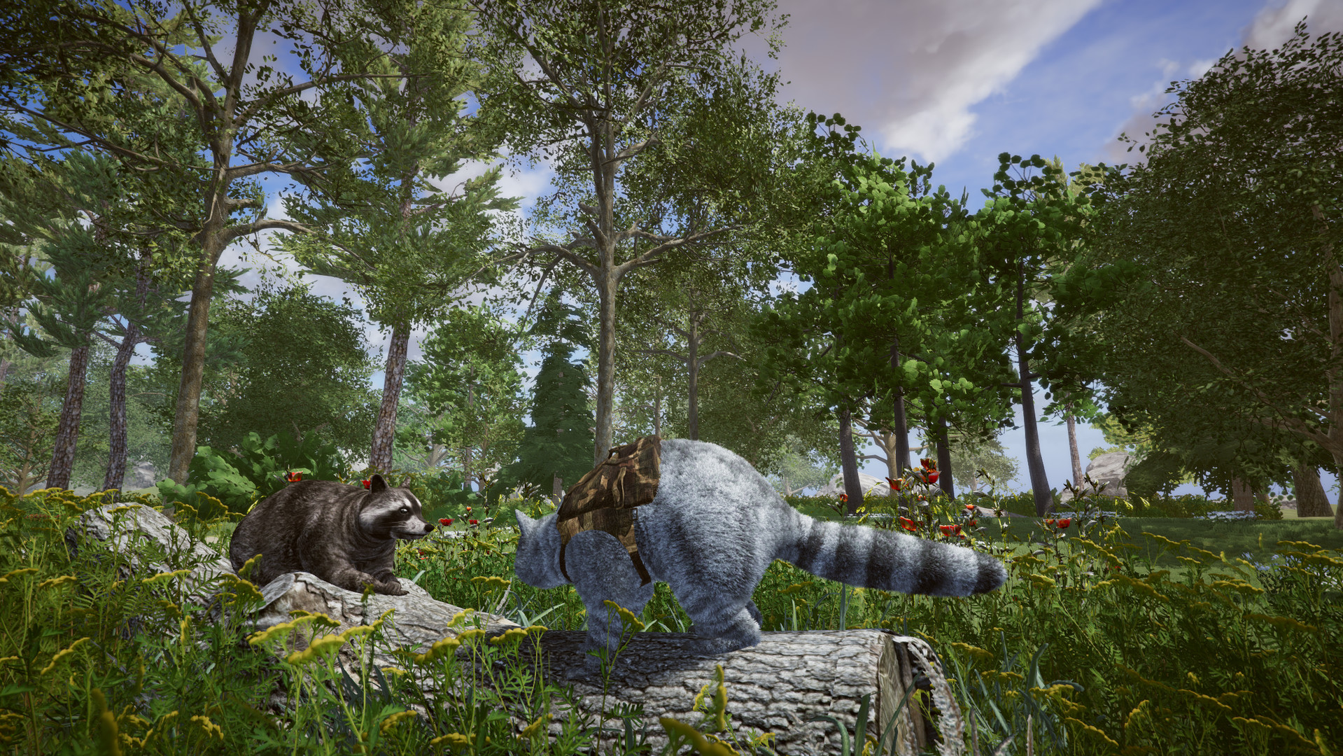 Wanted Raccoon - Screenshot 2