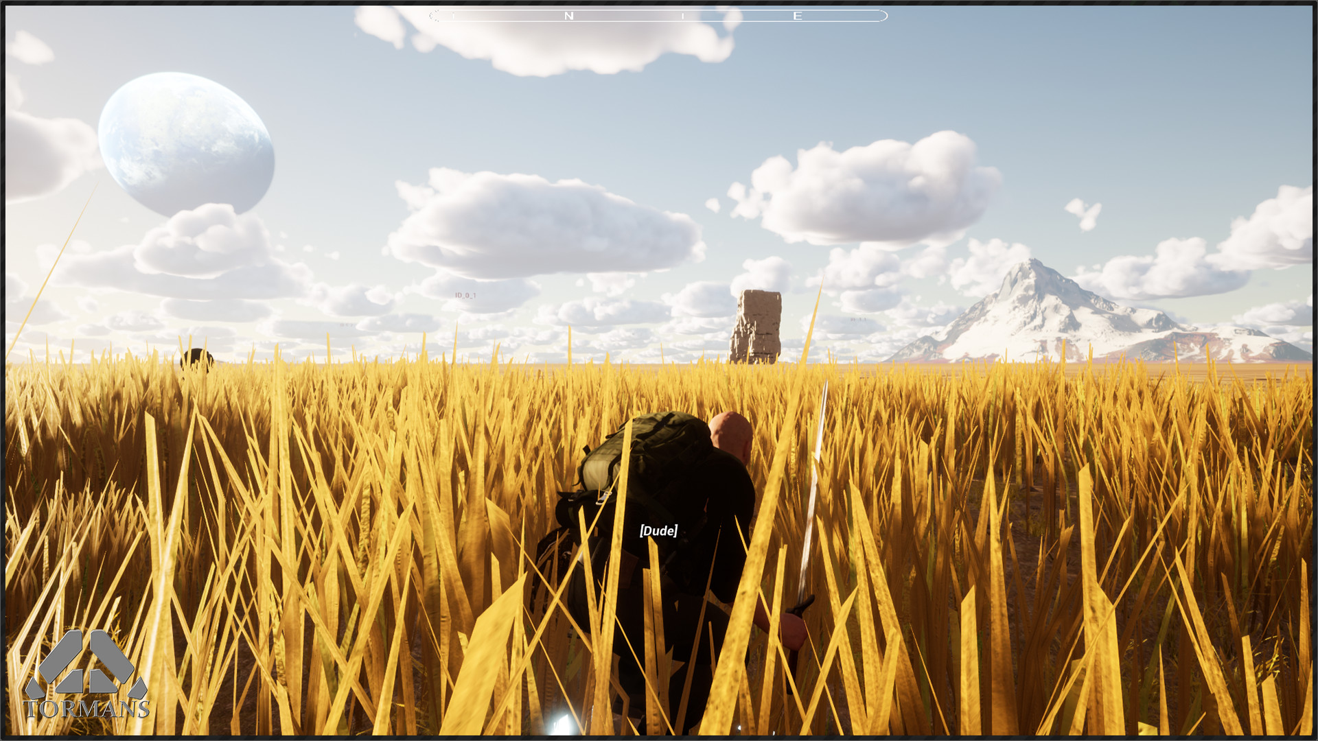 Tormans - Screenshot 3