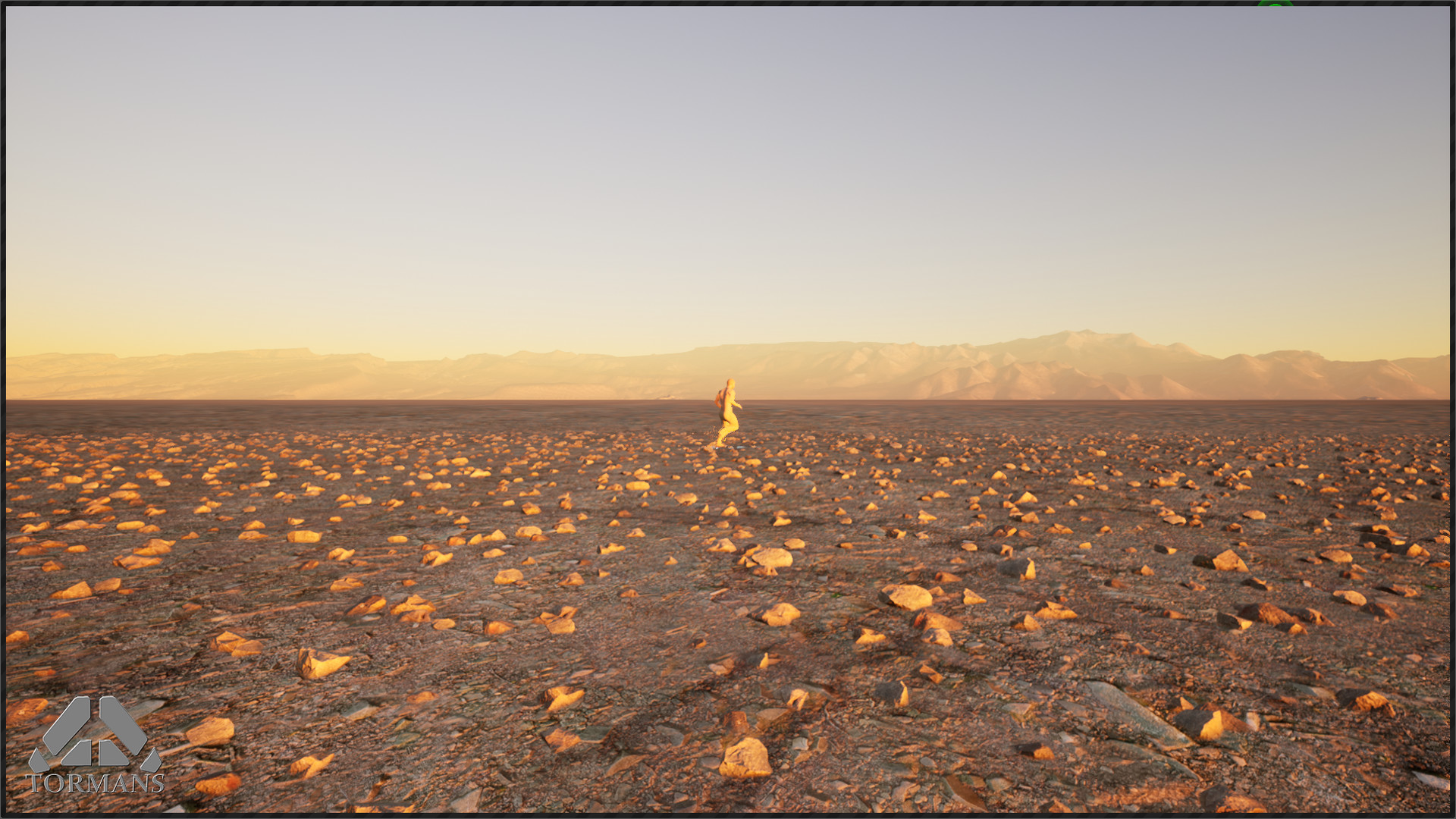 Tormans - Screenshot 2