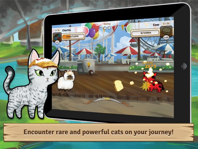 Bread Kittens - Press Kit