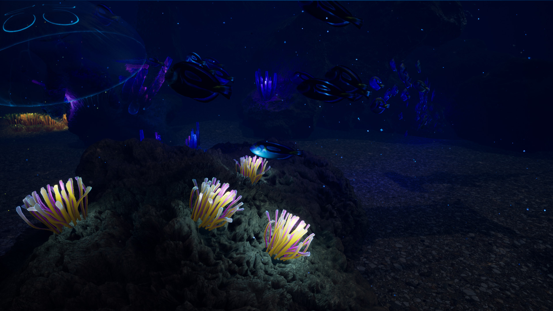 Professional Team - Screenshot 4