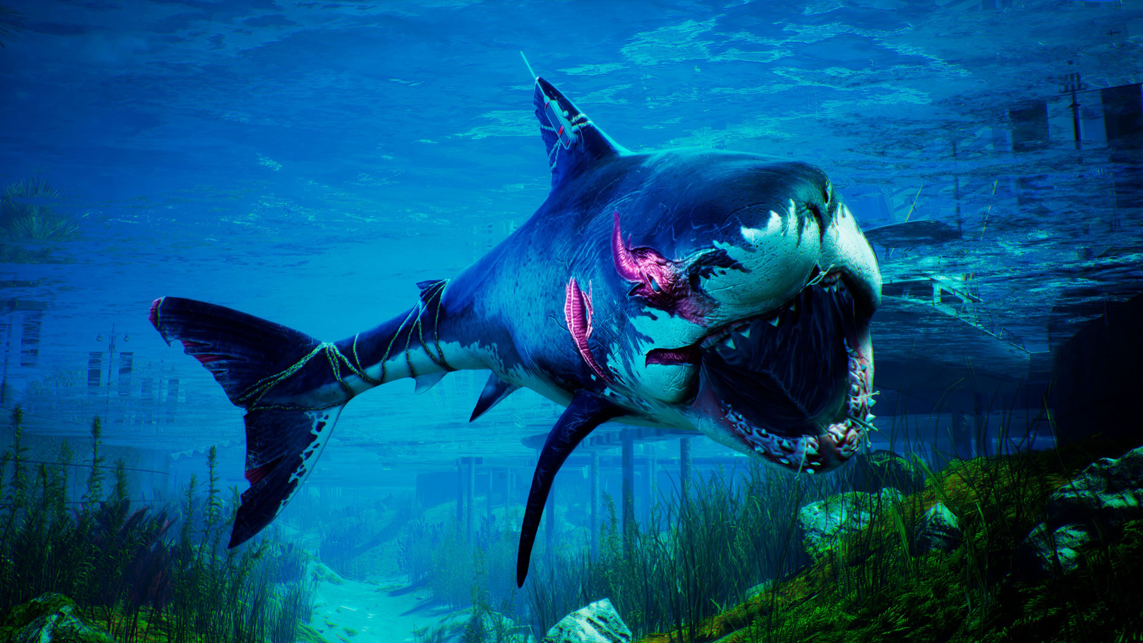 Maneater: Apex Edition - Screenshot 1