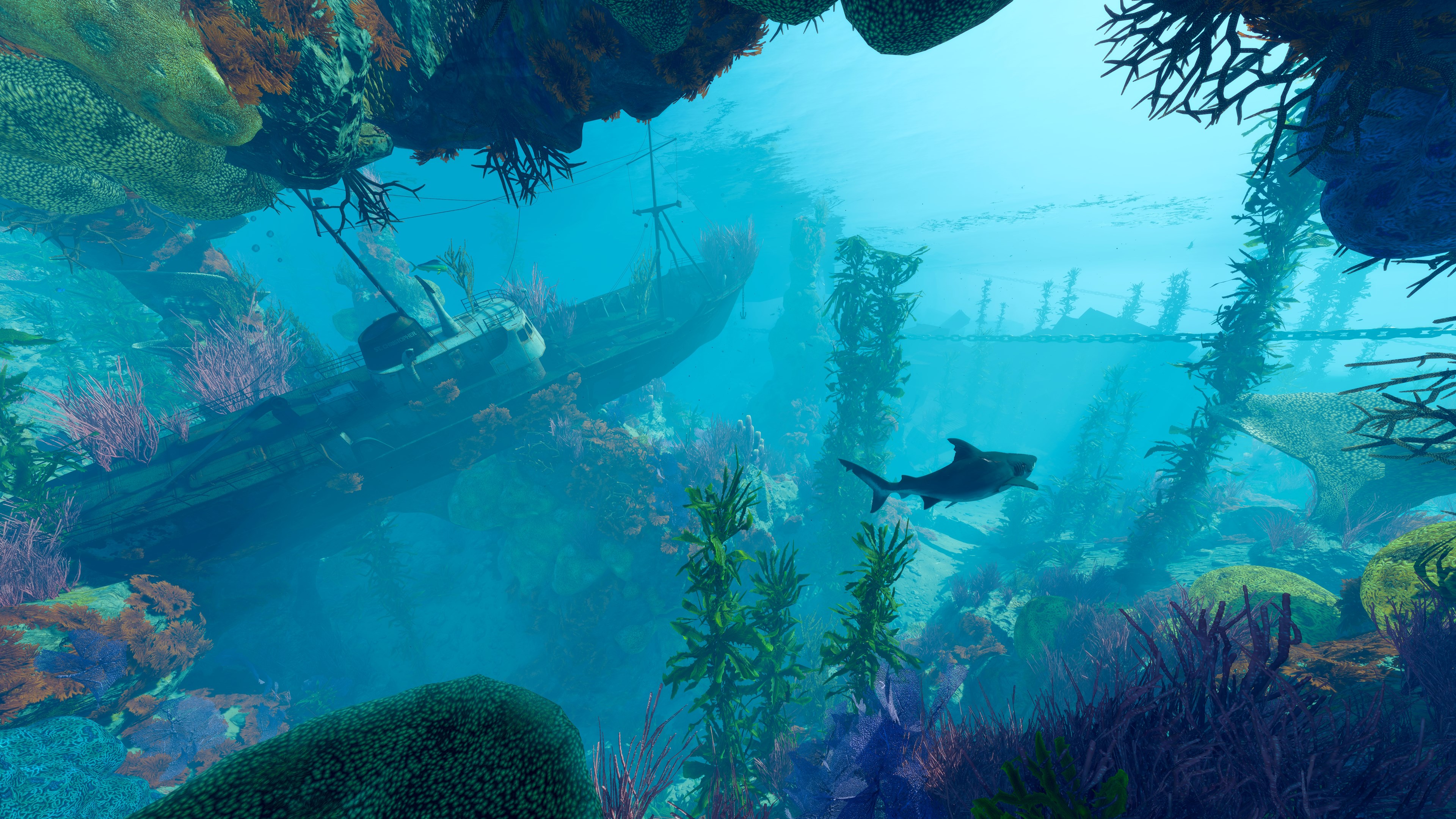 Maneater: Apex Edition - Screenshot 6