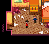 Harry Potter and the Chamber of Secrets - Screenshot 4