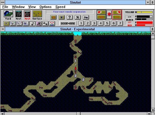 SimAnt - Screenshot 5