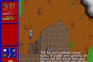 Realm of the Paladin: Deception's Plague - Screenshot 4