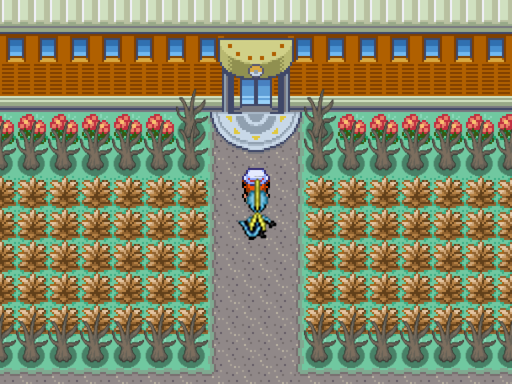 Pokémon Royal Version - Screenshot 1