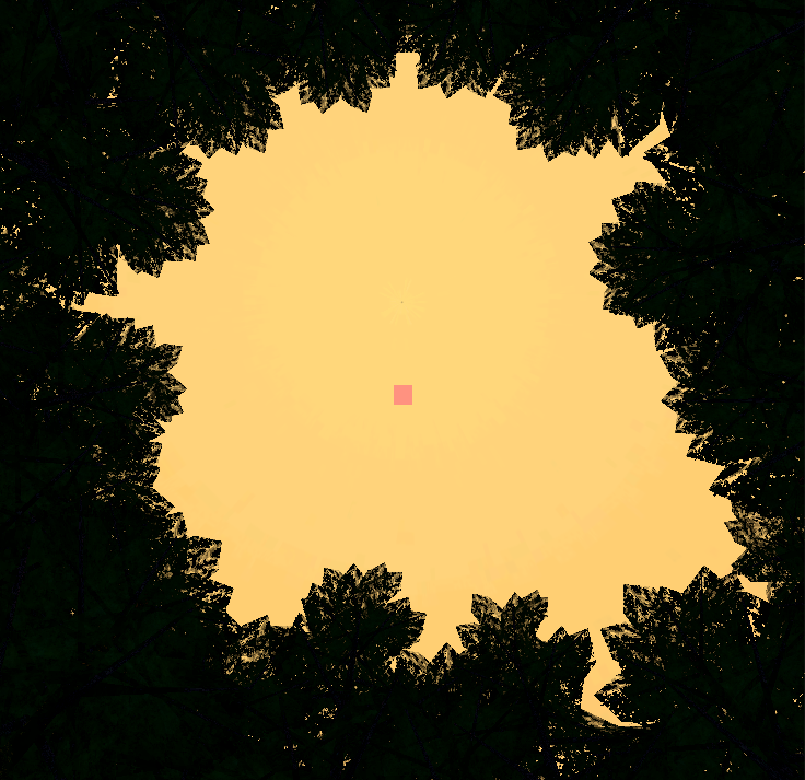 Oracle Pine - Screenshot 1