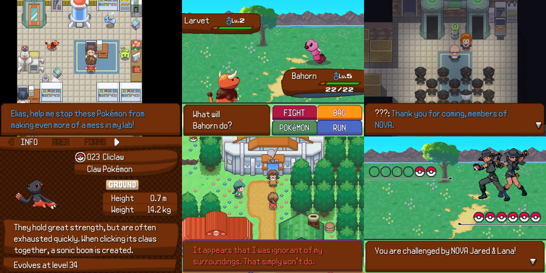 Pokémon Ethos - Screenshot 1