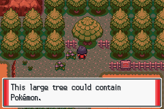 Pokémon Sienna - Screenshot 1