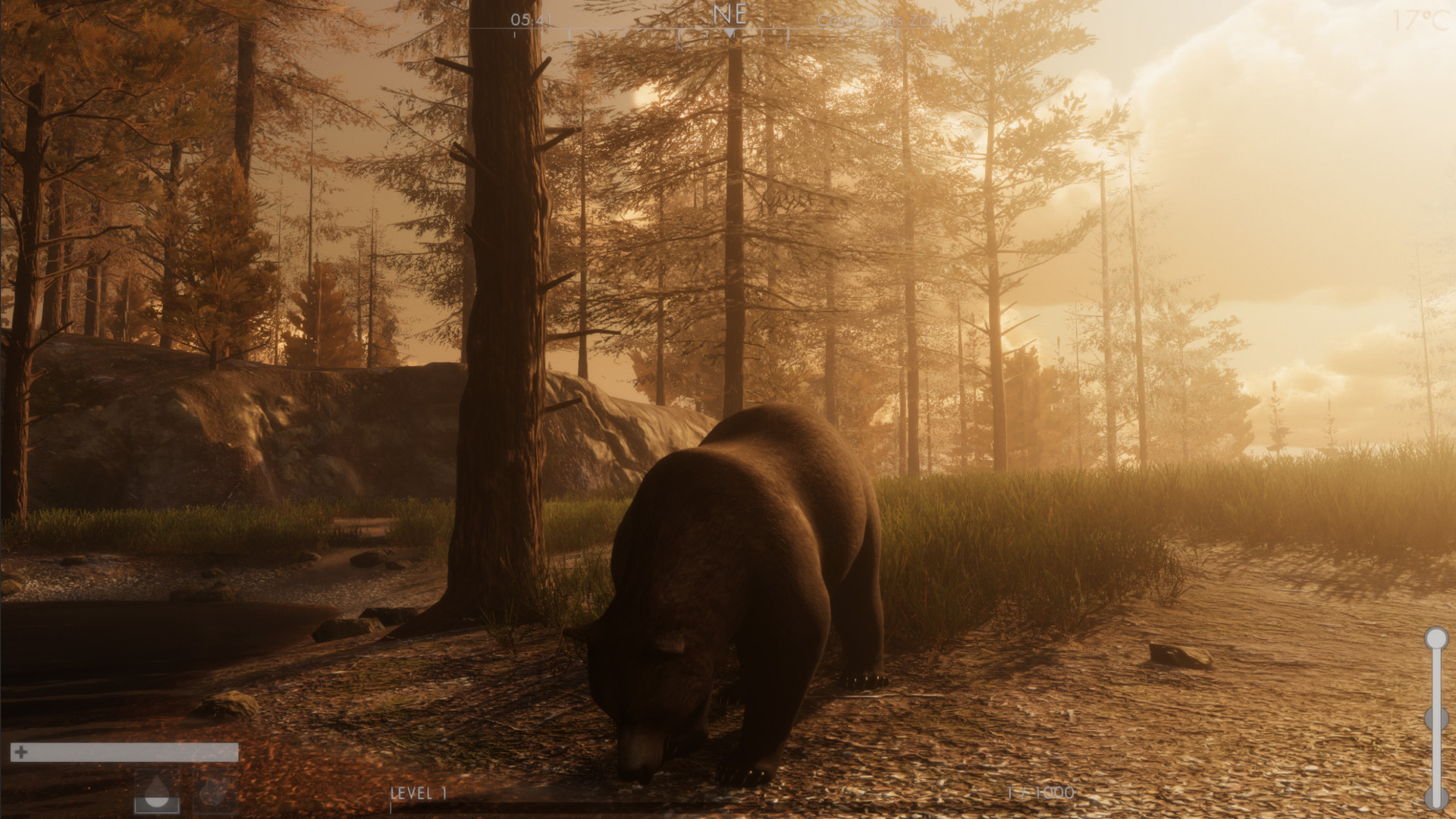The Wilds - Screenshot 3