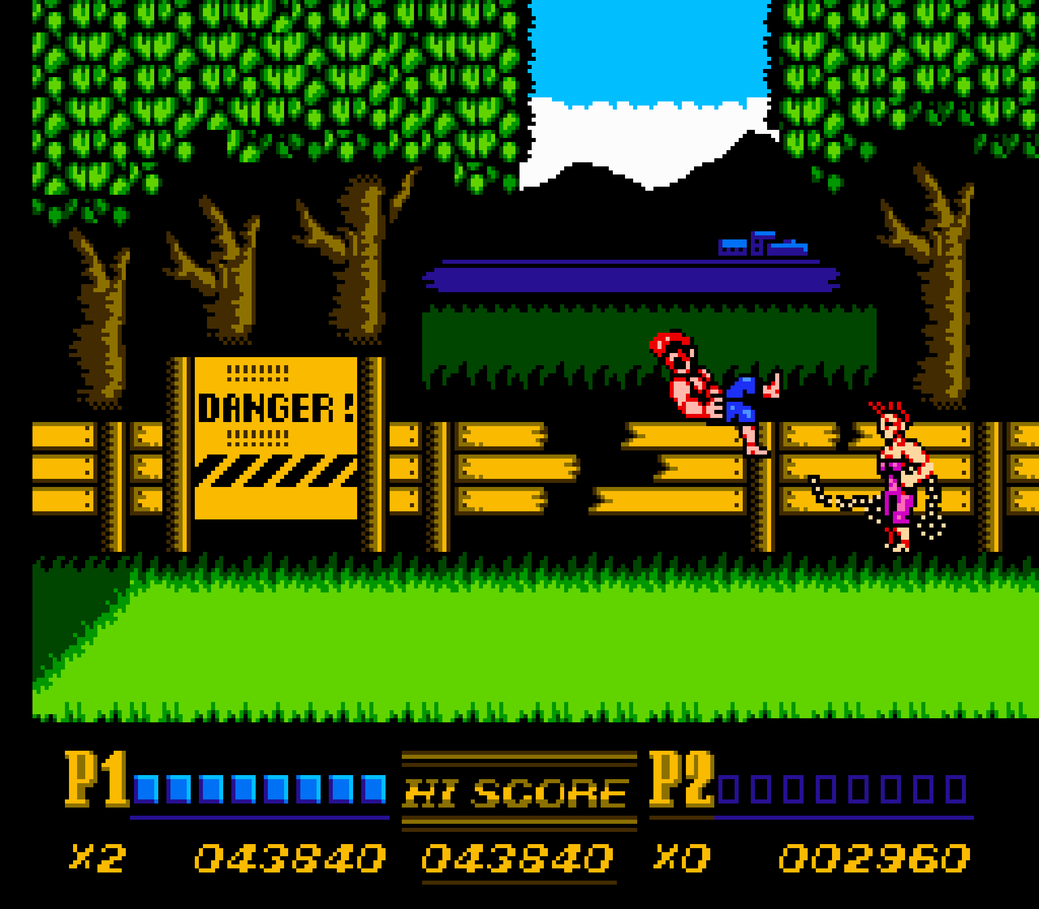 illustration de Double Dragon II: The Revenge