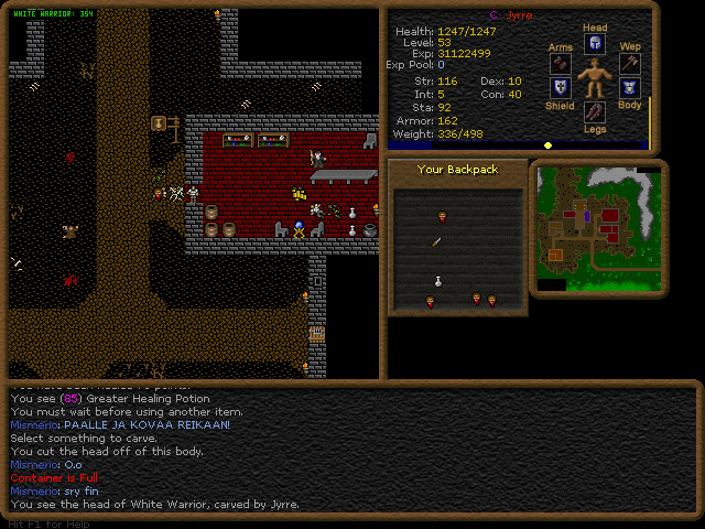 Dransik - Screenshot 1